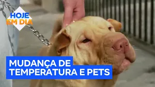 Mudanças bruscas de temperatura exigem cuidados com a saúde dos pets