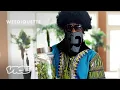 Inside a Black Market Grow House in Atlanta WEEDIQUETTE