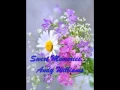 Download Lagu Andy Williams   -   Sweet Memories