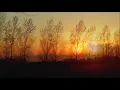 Half Moon Run - Gigafire