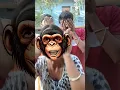 Download Lagu SELAMAT PAGI BESTIEeeee😂🤣🍡❤️🥰Siap berangkat sekolah#shotrs #cute #baby #viralshorts...