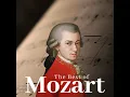 Violin Concerto No. 5 in A Major, K. 219: II. Adagio