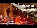 Download Lagu Science of Taptamudra by Acharya Veeranarayana Pandurangi