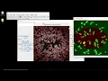 Annotater tutorial - Batch processing