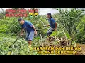 Download Lagu TIBA-TIBA HATI MENANGIS😭😭 HARAPAN DAN IMPIAN HILANG SEKETIKA