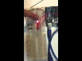 AVR Assembly Programming - Shift LED with Button External Interrupt