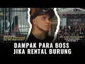 Lagu Bahas Yang Lagi Trend Rental Burung Dari 2 Sisi Pandangan‼️