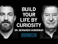 How to Use Curiosity Focus to Create a Joyful Meaningful Life Dr Bernardo Huberman