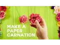 Paper Carnation - Rolled and Ruffled Petals