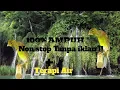 Download Lagu Masteran Kenari Paud ampuh dan terapi air