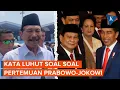 Download Lagu Kata Luhut soal Pertemuan Prabowo dan Jokowi di Kertanegara