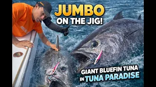 MONSTER TUNA on the Jig in Tuna Paradise. Against all odds we were victorious.