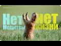Download Lagu Молитва за мир во всем мире! Live: УТРЕННИЙ ОНЛАЙН-РЕТРИТ «БЛАГОСТЬ» 23.06.2025