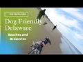 The Freya Trip Exploring Dog Friendly Delaware