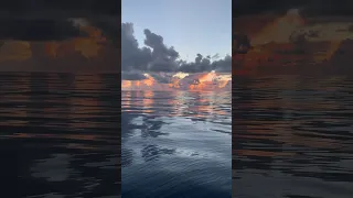 Dead Calm 🌊