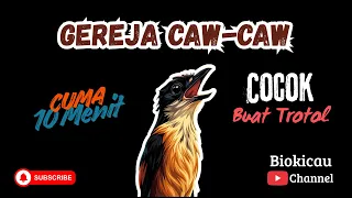 gereja versi caw caw