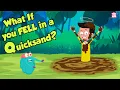 Download Lagu What If You Fell In A Quicksand? | How to Survive QUICKSAND | Dr Binocs Show | Peekaboo Kidz