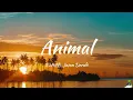 R3HAB, Jason Derulo - Animal (Lyrics)