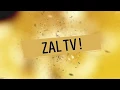 Download Lagu What is zaltv? use and free version