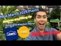 Lowe s Plant Shopping on a Budget New 2026 Releases Under 20 Big Box Store Plant Shopping March