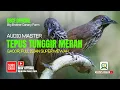 Download Lagu MASTERAN BURUNG TEPUS TUNGGIR MERAH GACOR, FULL ISIAN SUPER MEWAH#Short@bbcf.official1993