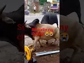 Download Lagu do sand 🥀👌😁😁😜mein 🥺😘Hui ladai op ladai hai na ki