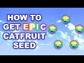 The Battle Cats - How to Get Epic Catfruit Seed