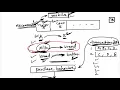 What is Association Rule Mining AI ML tutorials by a Data Scientist Thinking Neuron