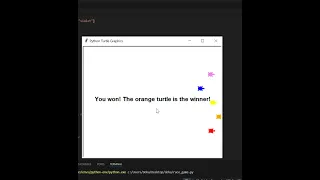 How to make a Turtle Race Game using python