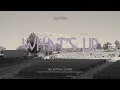 Lainey Wilson - What s Up What s Going On Visualizer