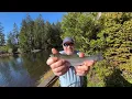 BIG TALK Little Fish Cleawox Lake Trout Fishing PLUS Stocking Report 2026