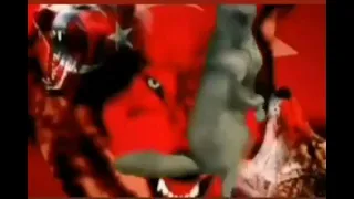 من تورکم تو گودرت مقابله با منو نداری فان 