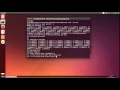Network topology using mininet