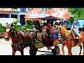Download Lagu Naik delman istimewa~lagu anak populer Indonesia~lagu anak balita~naik delman.