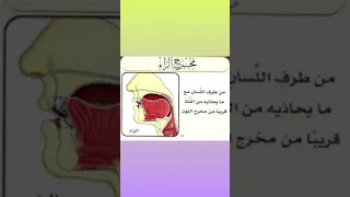 صورة توضيحيه لمخرج الراء 