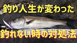 【シーバス】釣れない時、どんな工夫をしていますか？１匹のシーバスが教えてくれた釣れないときにやるべき2つの行動！