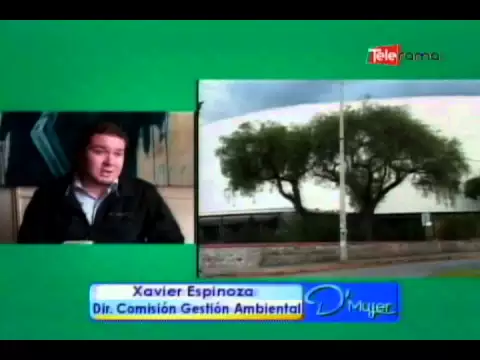 22 de mayo, Día del Árbol