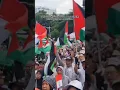 Download Lagu Palestina Tetcinta🇵🇸❤😍🇮🇩 #shorts #palestine #freepalestine #youtubeshorts #viralvideo #fyp #video