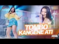 Download Lagu Dini Kurnia - Tombo Kangene Ati (Official Music Video)