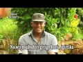 Download Lagu CUCU by John njagi (official)