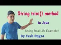 trim method in java Java String trim method with Example