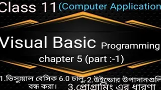 vb Visual Basic tutorial for beginners class 11 In bengali Practical Theory