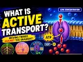 What is Active Transport