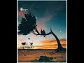 Download Lagu Jagana He Nyara jala ji | Hirakani | Sonalee Kulkarni \u0026 Ameet k |  Marathi whatsapp status