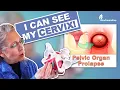 I can see my cervix after childbirth