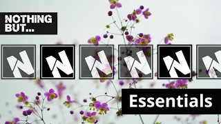 nothing but essentials 2023 08 19