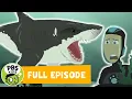 Wild Kratts FULL EPISODE Stuck on Sharks PBS KIDS