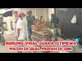 Lagu BURUNG VIRAL SUARA ISTIMEWA MASIH DI JUAL MURAH DI SINI 