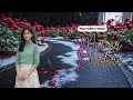 Lagu 🌹🩸 #MAWAR BERDURI - Pop Progressive - #SvaraHatiOfficial Original Video Music