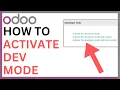 How to Activate Developer Mode in Odoo QUICK GUIDE